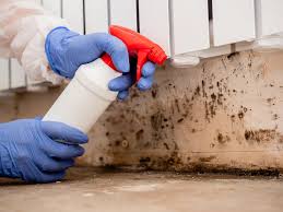 Professional Mold Removal in Sonoma, CA